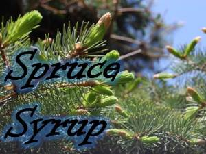 Spruce Syrup