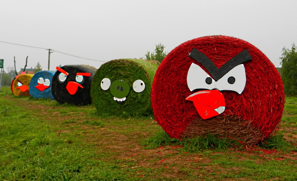 Angry Bales, Tizafured, Hungary