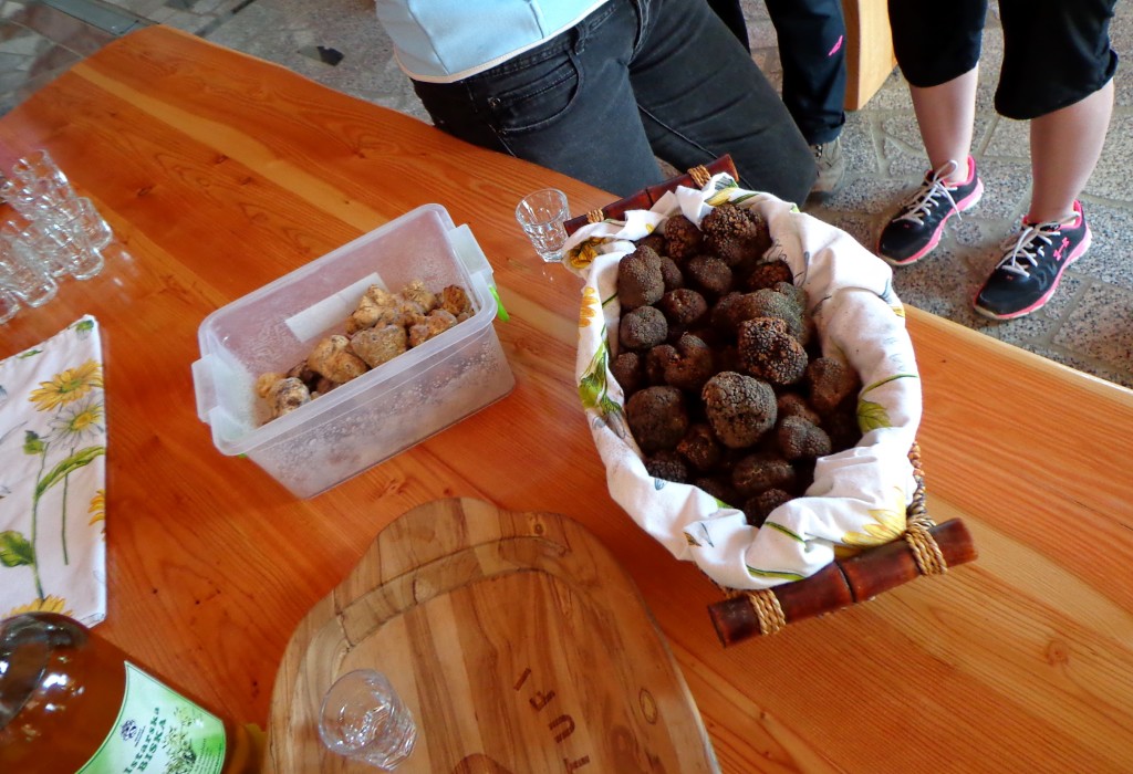 Truffles, Croatia, Istria