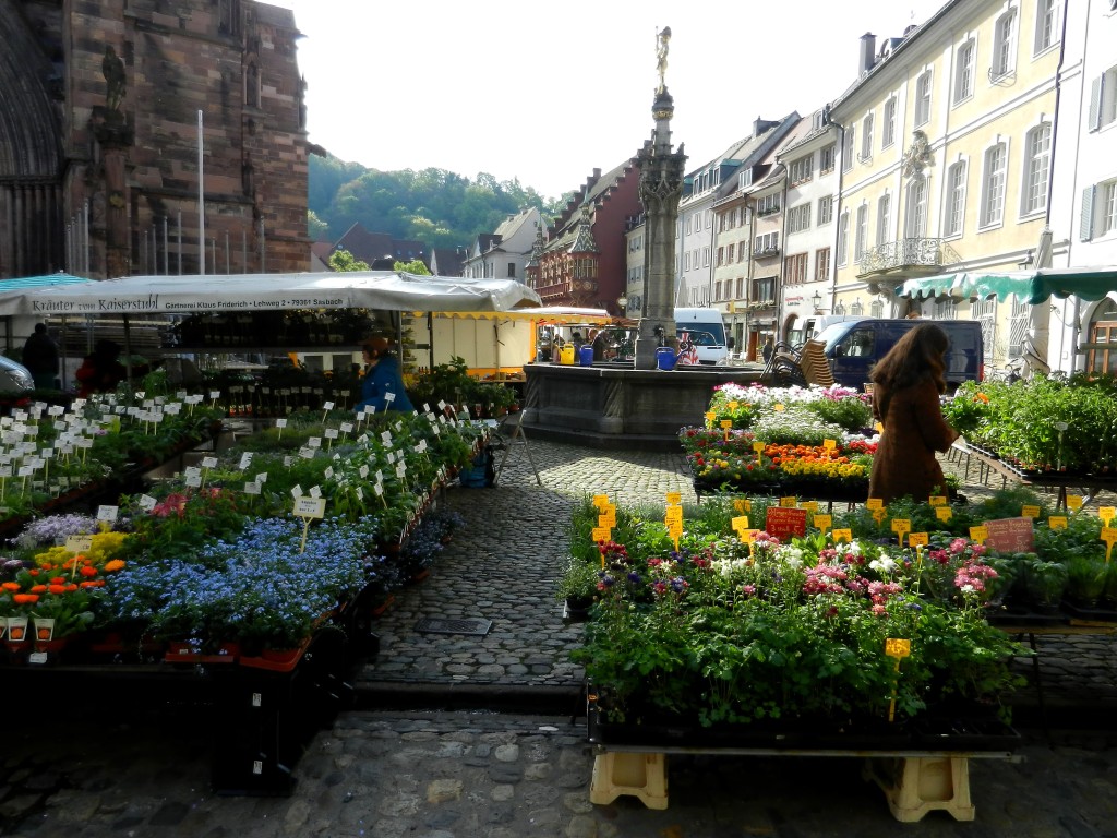 Market, Minster, Freiburg, Germany
