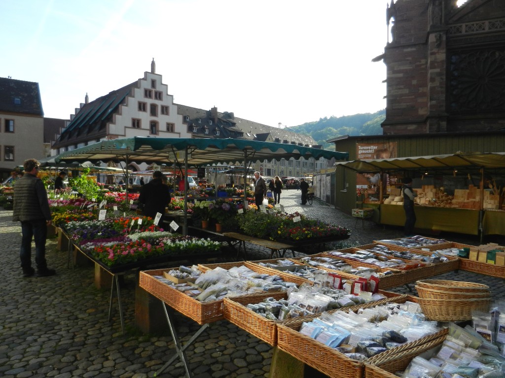 Freiburg, Minster Square