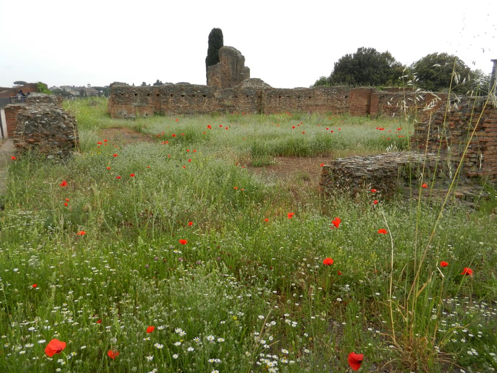 Ruins on Palatine Hill, Rome, Italy