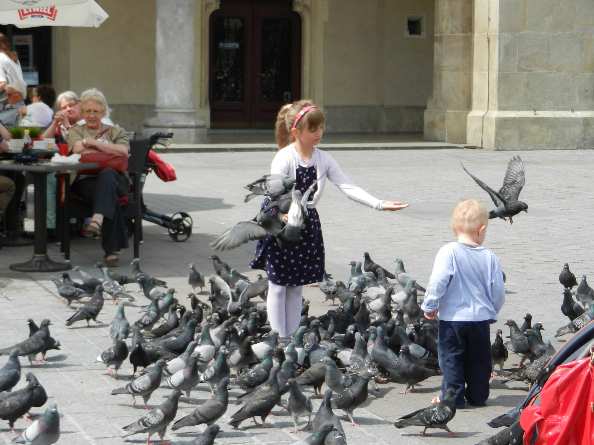Girl Feeding Pigeons in Krakow, Poland