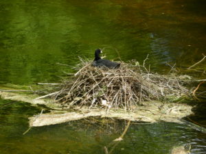 Nymphenburg grounds, Munich, Germany