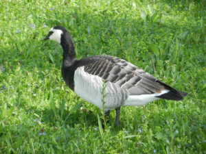 Nymphenburg grounds, Munich, Germany
