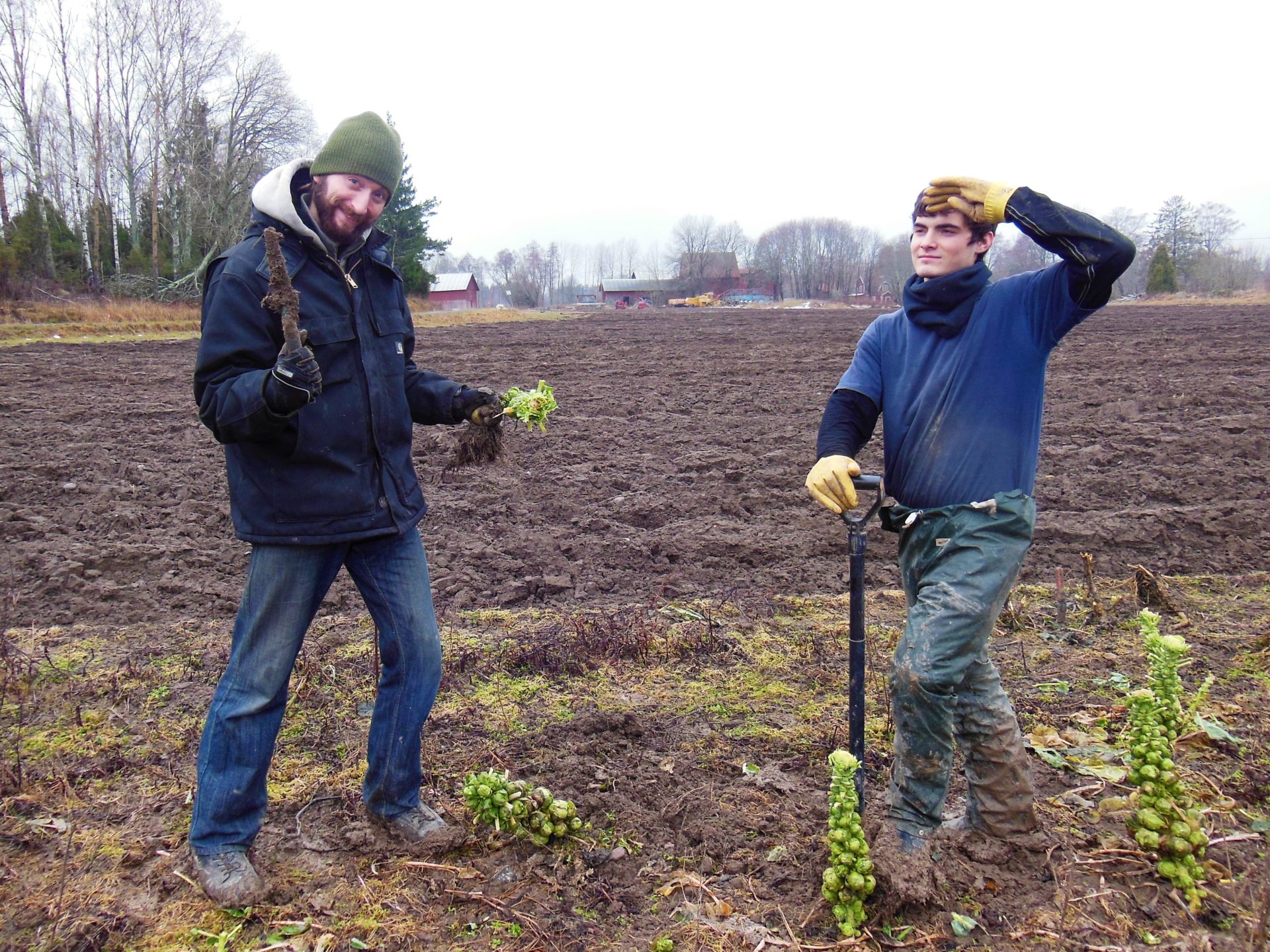 Nathanael, Volunteering, WWOOF, Bjorklinge, Sweden